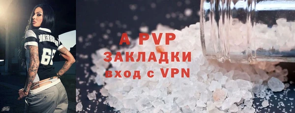 СК Протвино