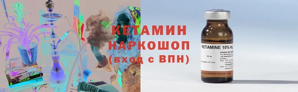 индика Алексин