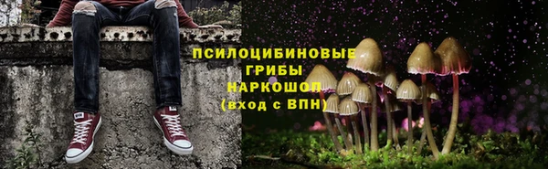ешки Армянск