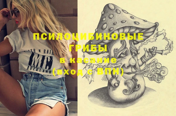 метамфетамин Аркадак