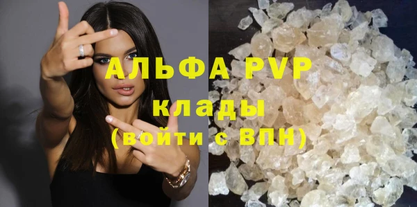 прущие грибы Покровск