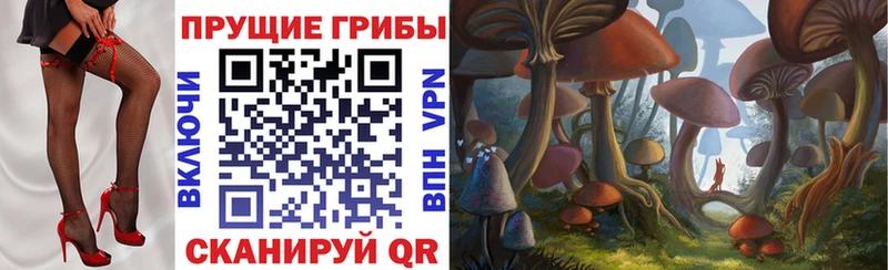Псилоцибиновые грибы GOLDEN TEACHER  Малоархангельск 